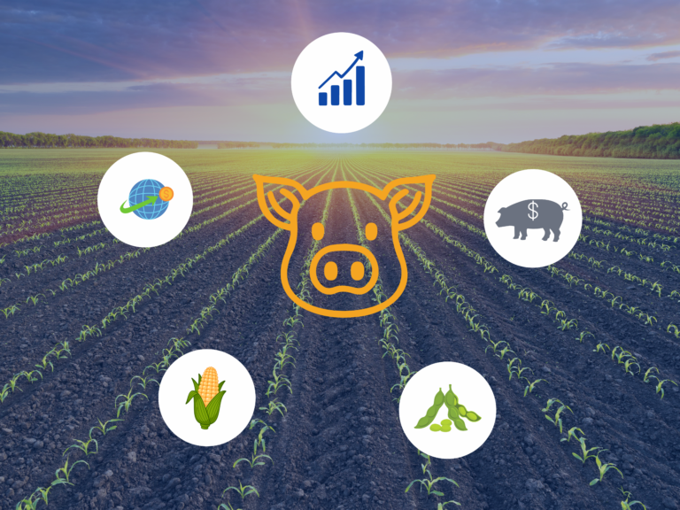 Agrégat porc : Passer d’une logique de prix à une logique de marge