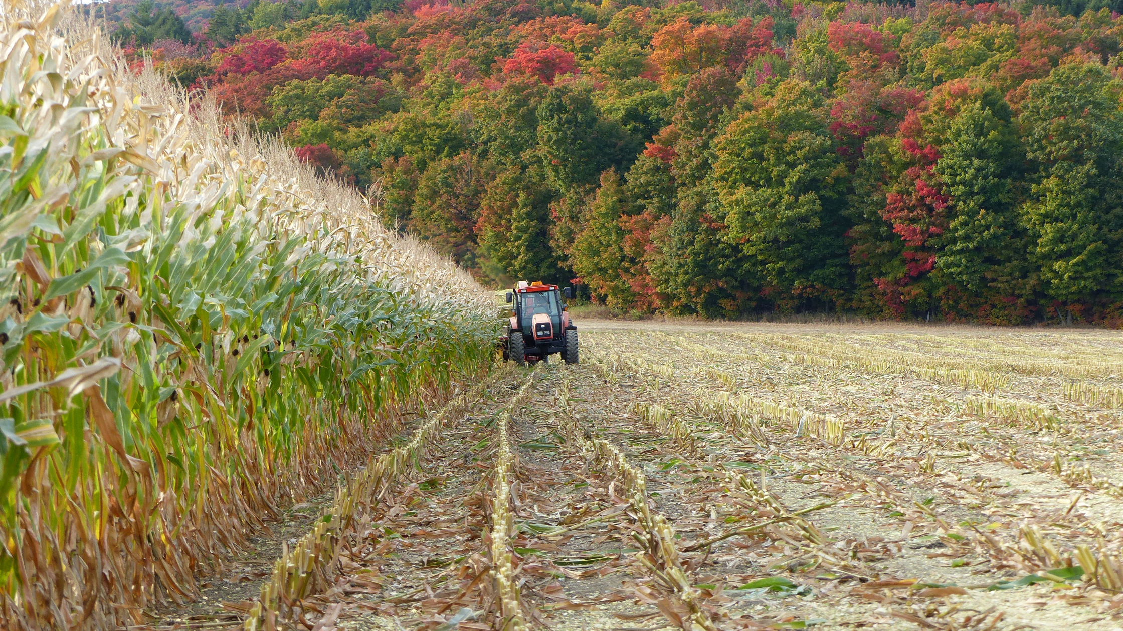 Ba?tir une agriculture canadienne pe?renne et innovante (6)